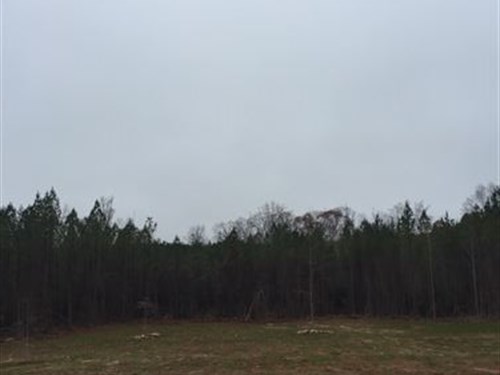 16+/- Acre Mini-Farm : La Fayette : Chambers County : Alabama