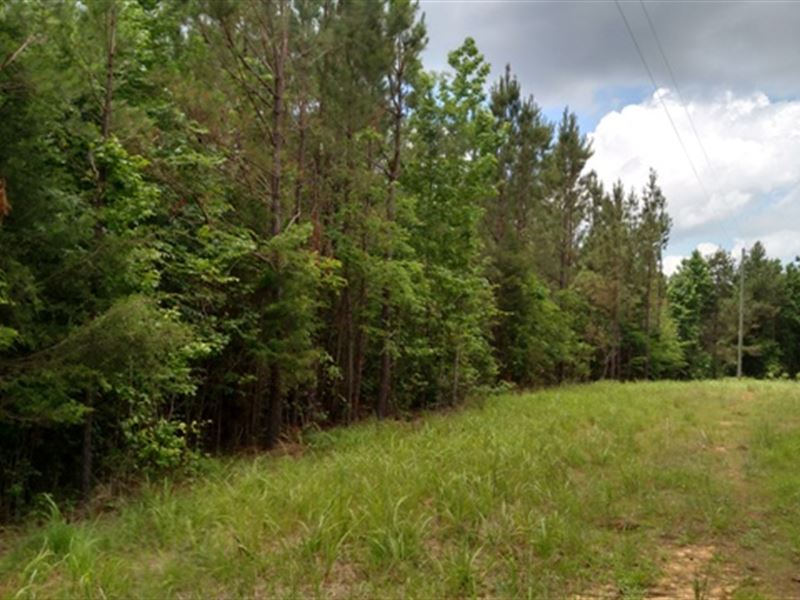 Land for Sale in Mathiston, Ms : Mathiston : Choctaw County : Mississippi
