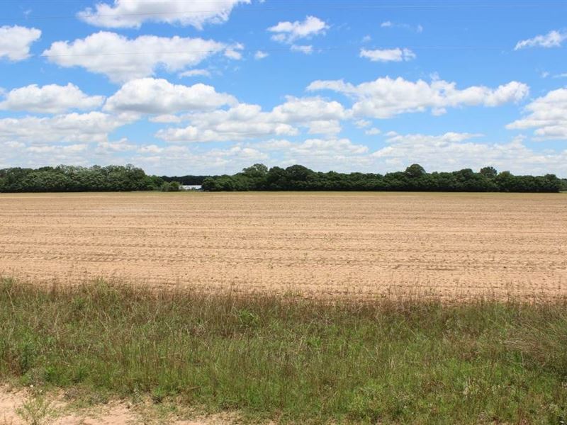 144 Acres Of Beautiful Farm Land, Farm for Sale in 125403 FARMFLIP