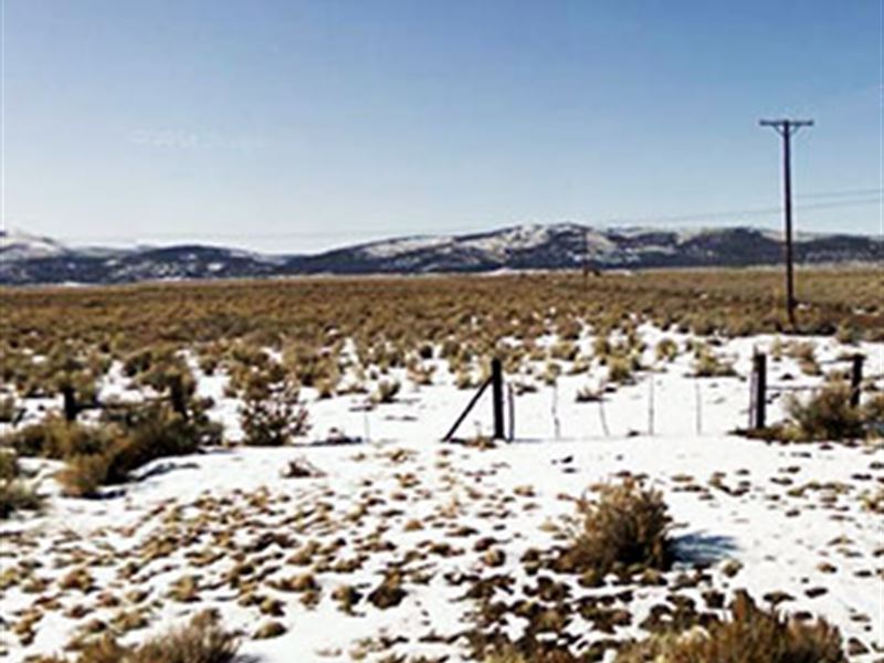 Large Lot Of Clear Land, Farm for Sale by Owner in California, 125492