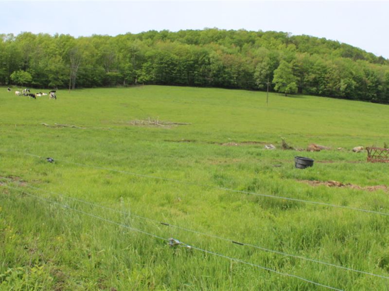 28 Acres Organic Farmland in Ny, Farm for Sale in New York, 125556