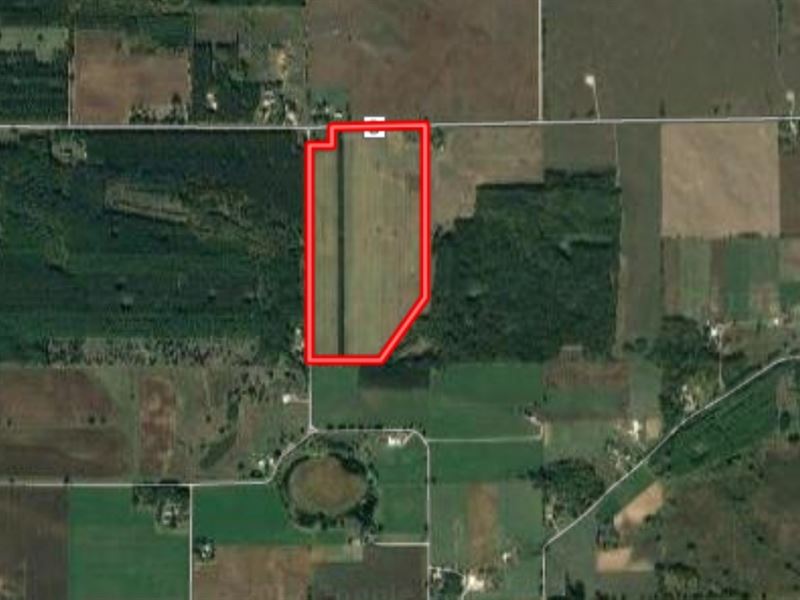40 Tillable Acres in Dalton Wi, Farm for Sale in Wisconsin, 125569
