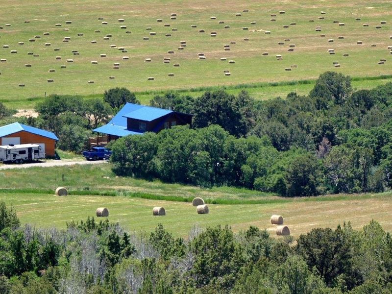 Haskins Ranch : Montrose : Montrose County : Colorado