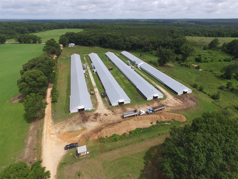 Four House Broiler Farm : Clio : Barbour County : Alabama