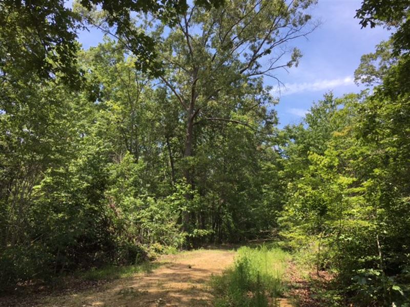 64.762 Acres Orchard Hill, Farm for Sale in 125767 FARMFLIP