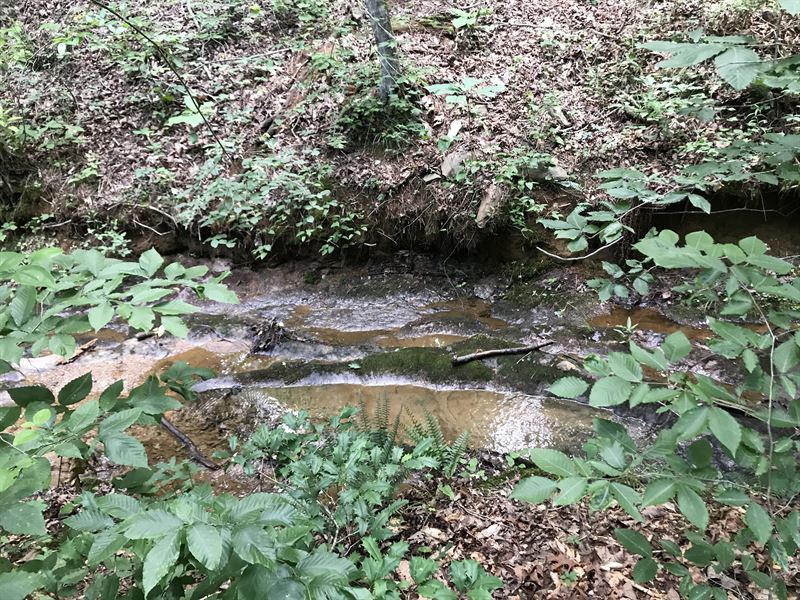 5.05 +/- Wooded Acres, Cherokee Co : Waleska : Cherokee County : Georgia