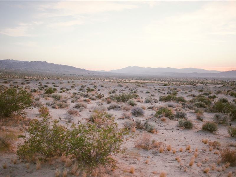 5 Acres Of Desert Paradise : Joshua Tree : San Bernardino County : California