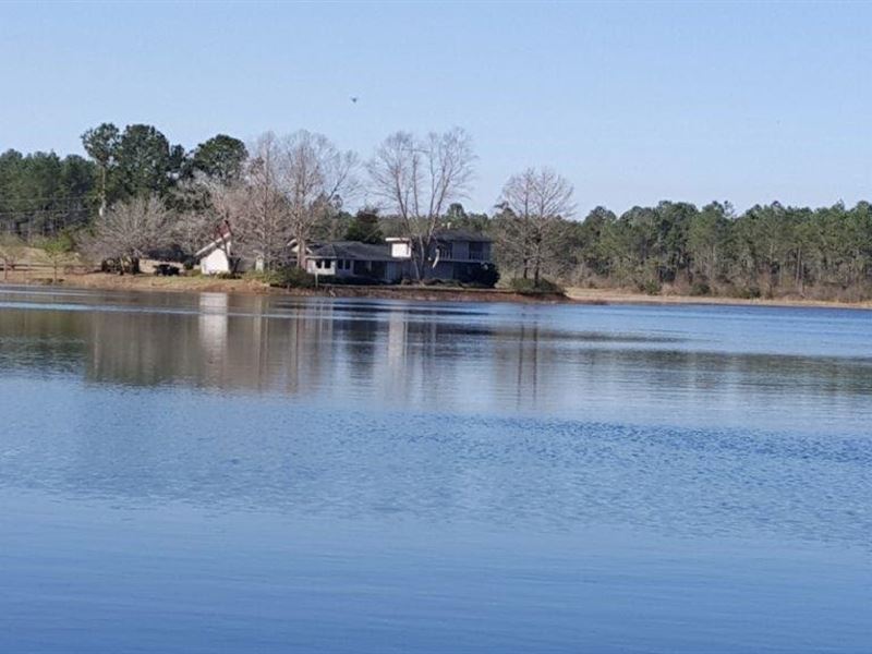 Great Lakes, House, Hunting, and Ti : Alapaha : Berrien County : Georgia