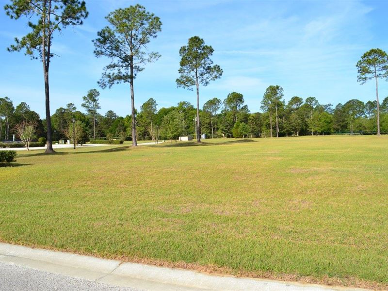 Southern Pines Development : Brooksville : Hernando County : Florida