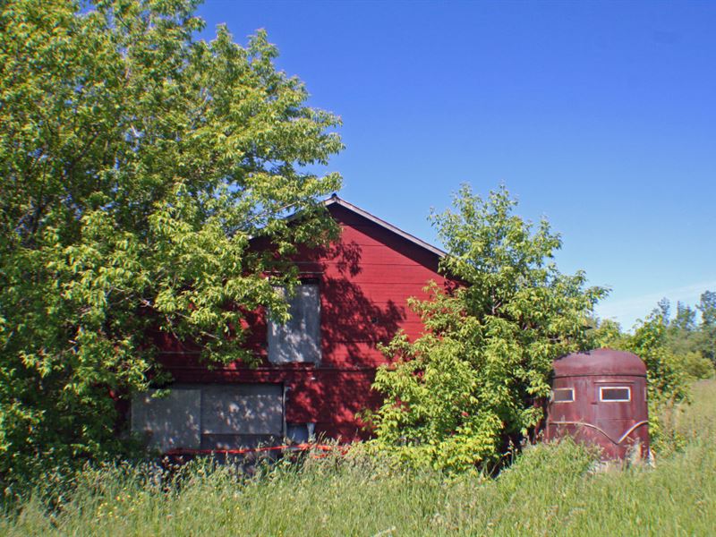 51 Acres Farm & Farmland Batavia Ny, Farm for Sale in New York, 126099