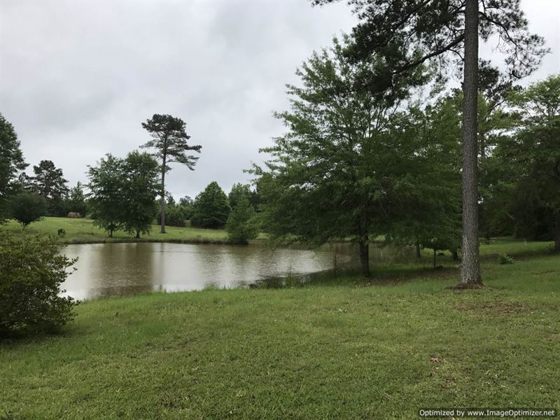 Home/Camp Site W/ Fishing Pond Farm for Sale in Brookhaven, Lincoln
