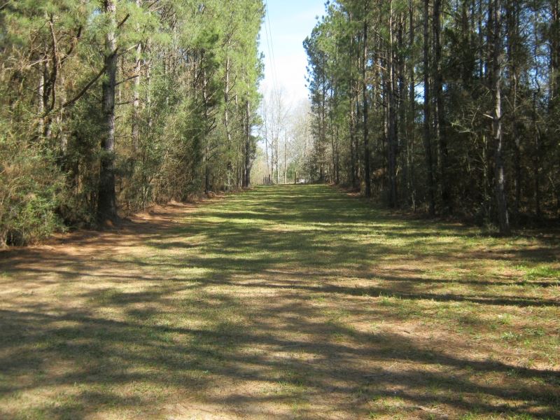 115 Ryan Rd, Tylertown, MS : Tylertown : Walthall County : Mississippi