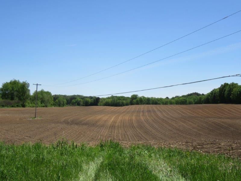 51 Acres Tillable Farmland River Ny, Farm for Sale in New York, 126785