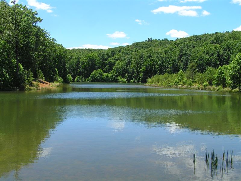 You Own The Lake And Lot Farm for Sale in Dunlap, Sequatchie County