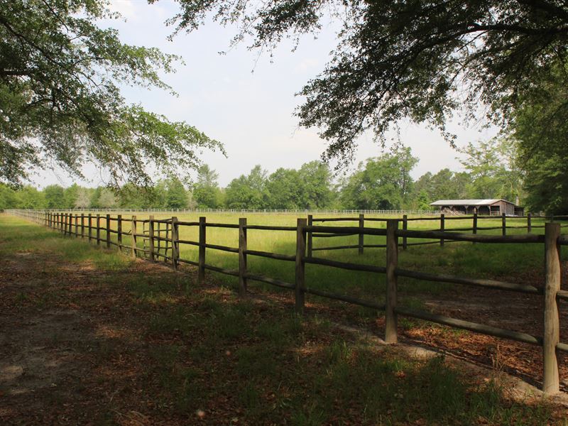 McMillan Tree Farm Tract 5 Farm for Sale by Owner in Ehrhardt