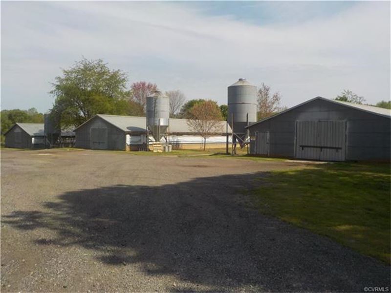 Rocky Top Poultry Farm Of Amelia : Amelia : Amelia County : Virginia