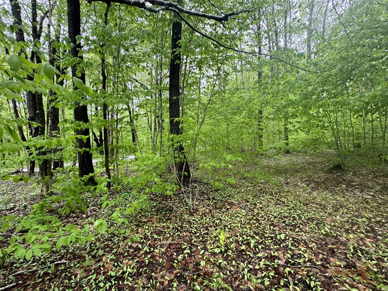 Osceola Camp Spot : Osceola : Lewis County : New York