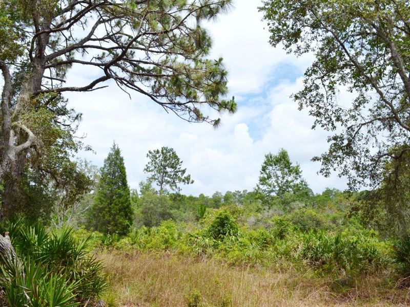 Hidden Lake Acreage, Farm for Sale in Florida, 127644 FARMFLIP