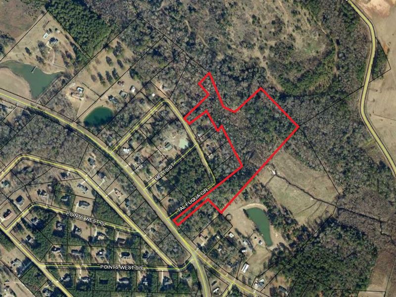 20+ Acres Hunting Land With Creek Farm for Sale in Dublin, Laurens