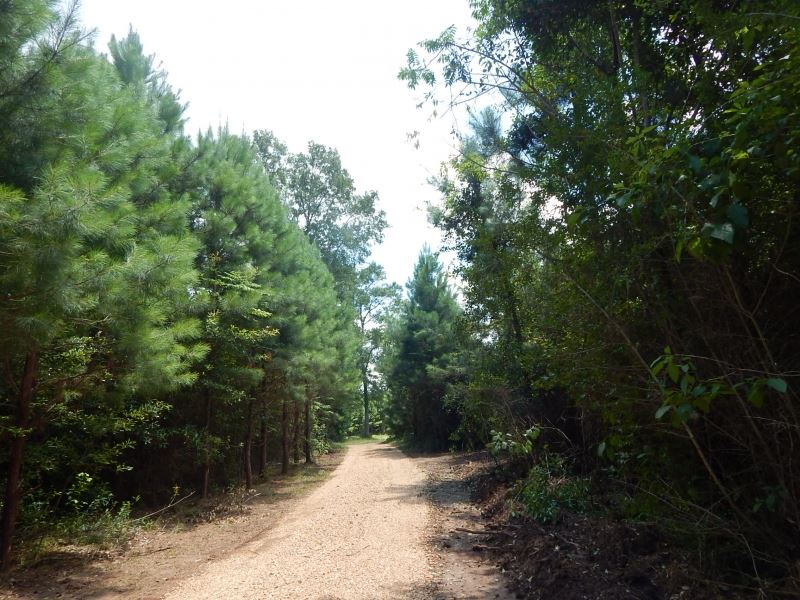 67.28 Acres Old Hwy 24 : McComb : Pike County : Mississippi