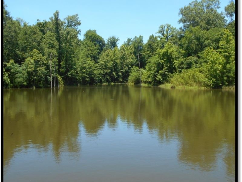 657 Acres in Yazoo County : Yazoo City : Yazoo County : Mississippi