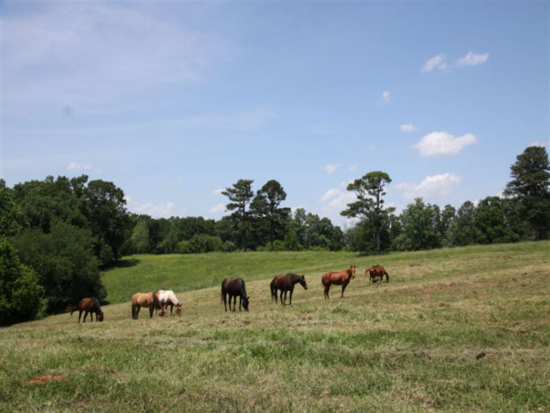Cherokee County, Ga. 38.9 Acre Farm : Canton : Cherokee County : Georgia