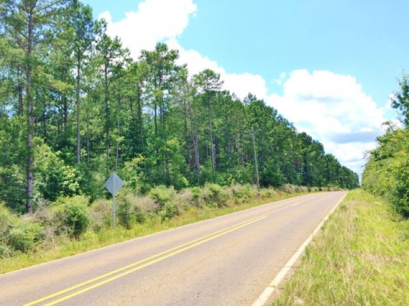99 Acres Amite County, Ms : Smithdale : Amite County : Mississippi