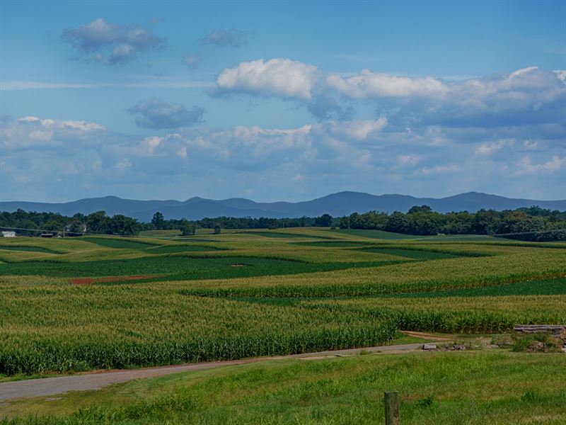 Glenwood Farm : Somerset : Madison County : Virginia