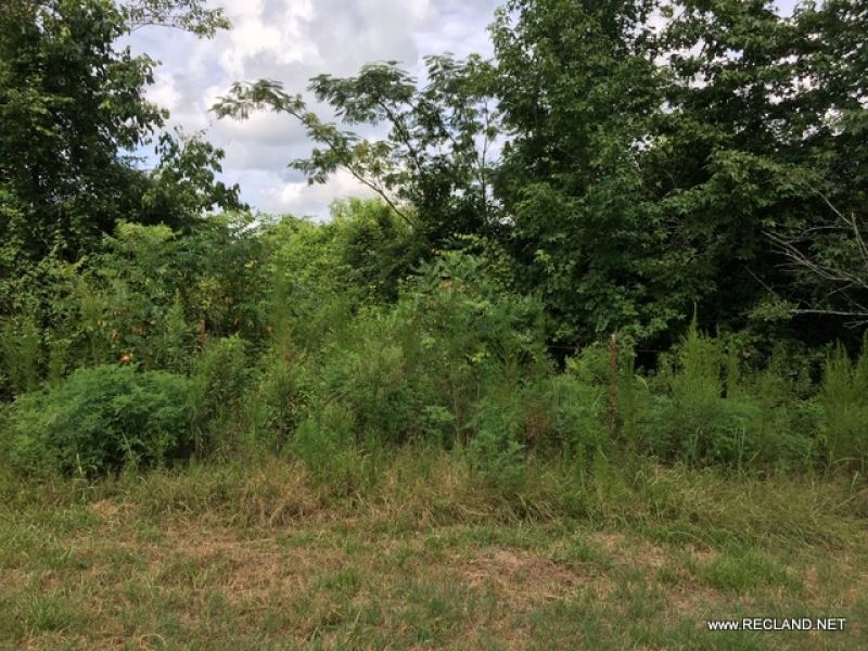 27.8 Ac - Timberland for Home Site : Choudrant : Lincoln Parish : Louisiana