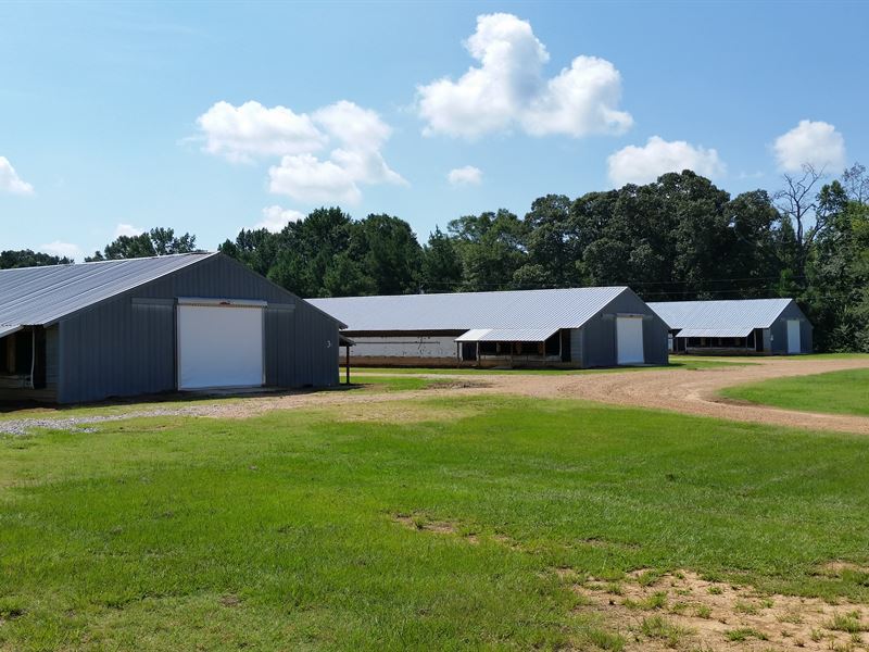 Three House Pullet Farm Farm for Sale in Carthage, Leake County
