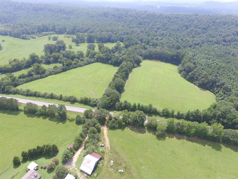 Reduce 43+/- Ac, Pasture & Creek : Blountsville : Blount County : Alabama