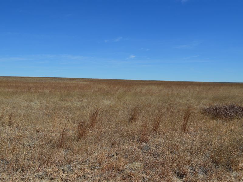 Prowers County Crp for Sale Wright : Holly : Prowers County : Colorado