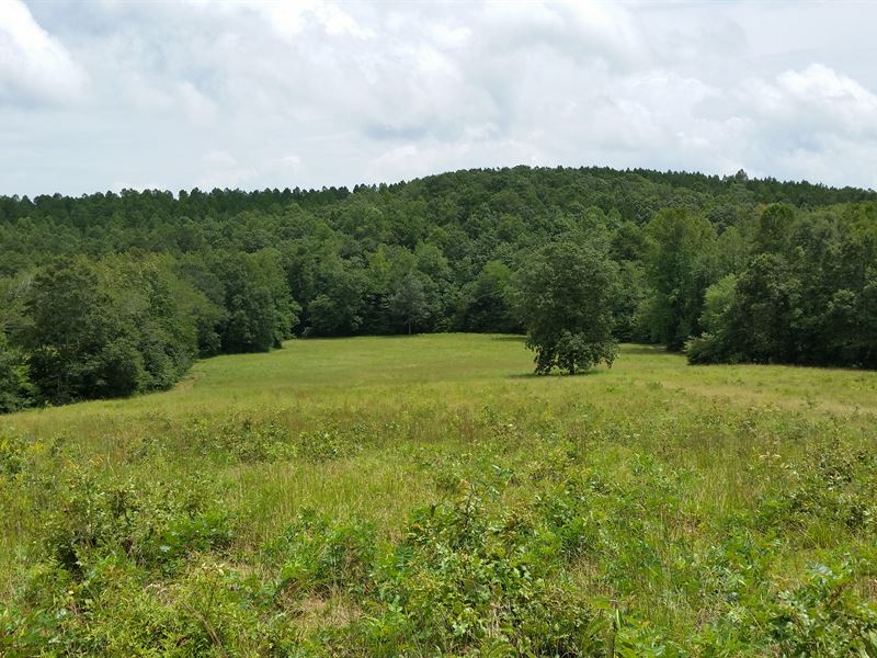 Open Land For Sale 54+/ Acres Farm for Sale in Buchanan, Haralson