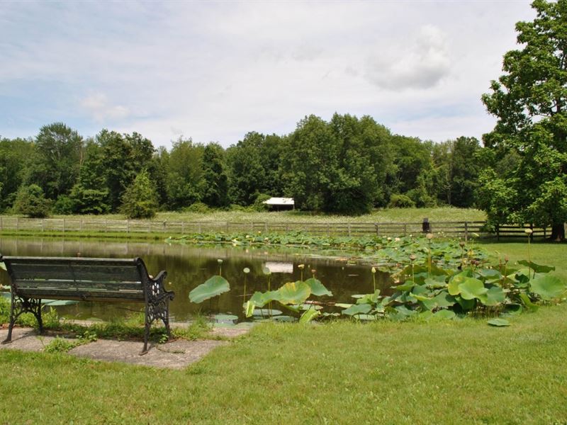 87 Acres Pine Bush Ny Development, Farm for Sale in New York, 128995