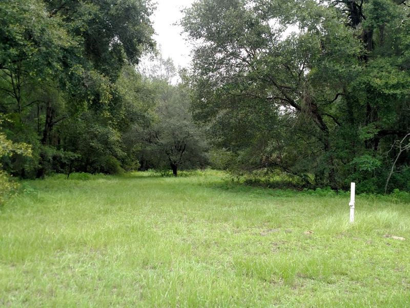 mobile homes for sale in orlando florida under $10000