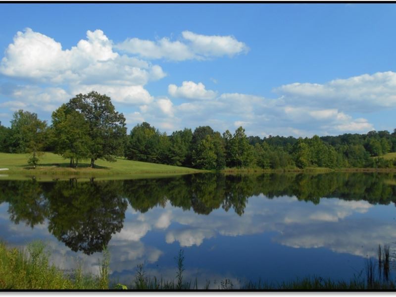 57.226 Acres in Lafayette County : Abbeville : Lafayette County : Mississippi