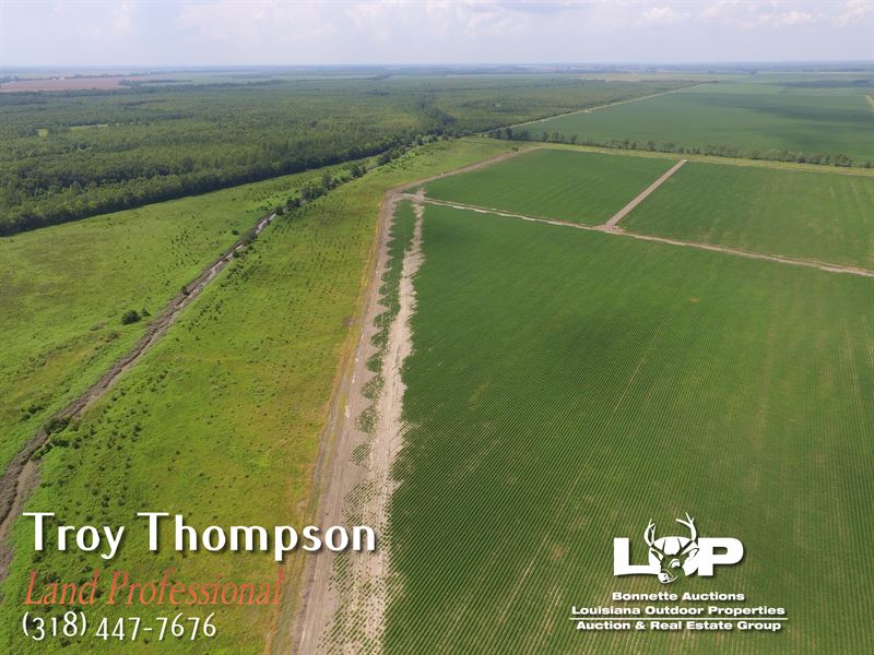 Madison Par. Farm and Hunting Land : Tallulah : Madison Parish : Louisiana