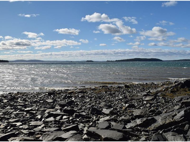 Coastal Maine Acreage : Gouldsboro : Hancock County : Maine