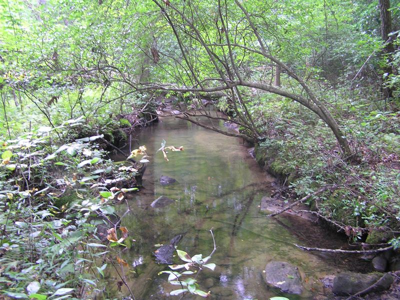 Creek, Woods, Owner Finance : Dunlap : Sequatchie County : Tennessee