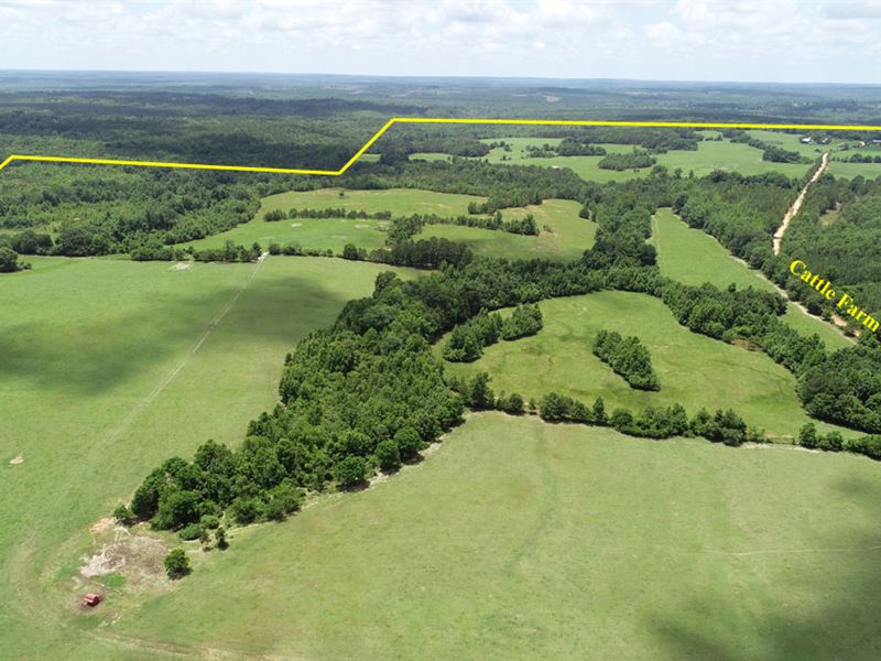 519 Cattle Farm, Farm for Sale in 129342 FARMFLIP