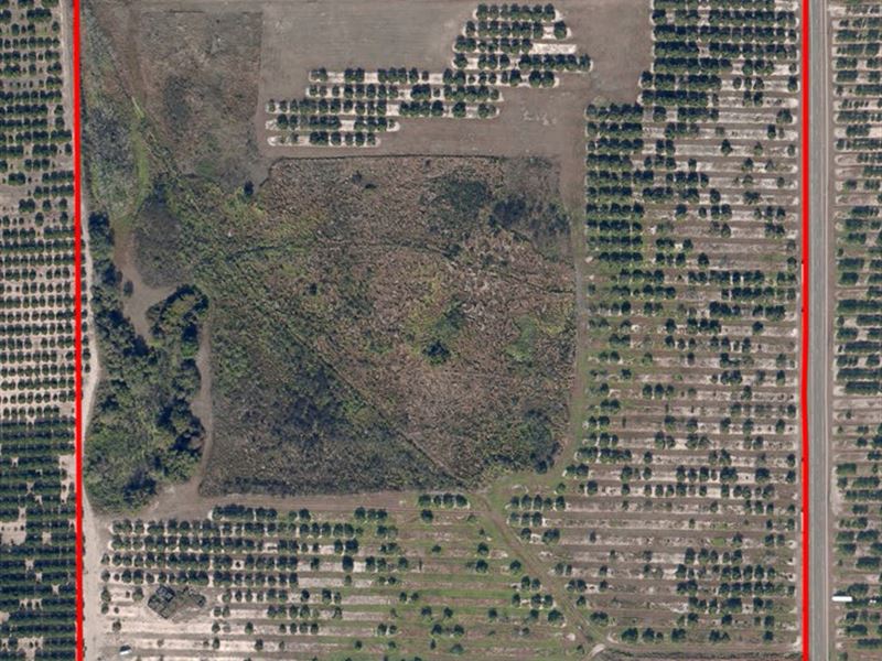 West Frostproof Acreage, Farm for Sale in Florida, 129454 FARMFLIP