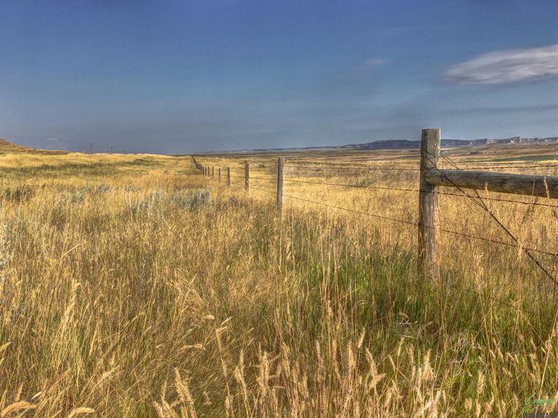 138 Acres Of Grass and Dryland : Harrisburg : Banner County : Nebraska