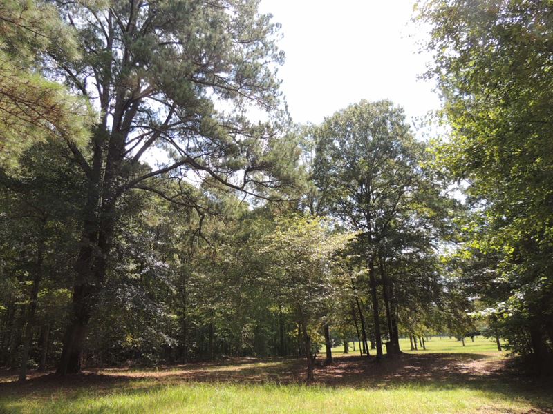 10.4 Ac On Whispering Pines Trail : Senoia : Coweta County : Georgia