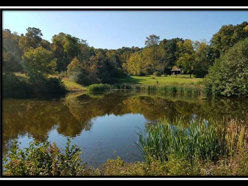 Beautiful 244 Ac W Ponds & Views : Kimbolton : Guernsey County : Ohio