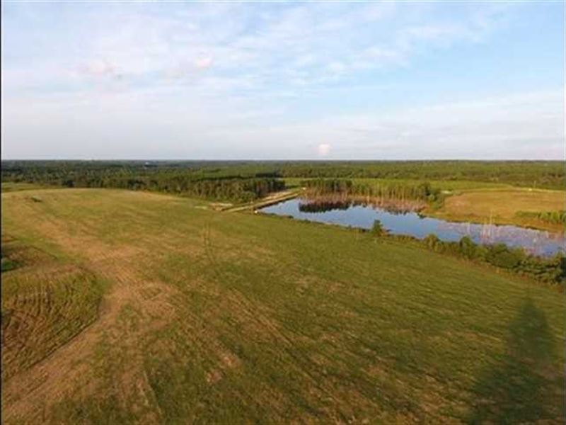 Reduced, 152 Acre Farm Land For, Farm for Sale in 129730