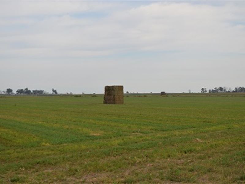 Ellephant Irrigated Farm, Farm for Sale in Colorado, 129852 FARMFLIP