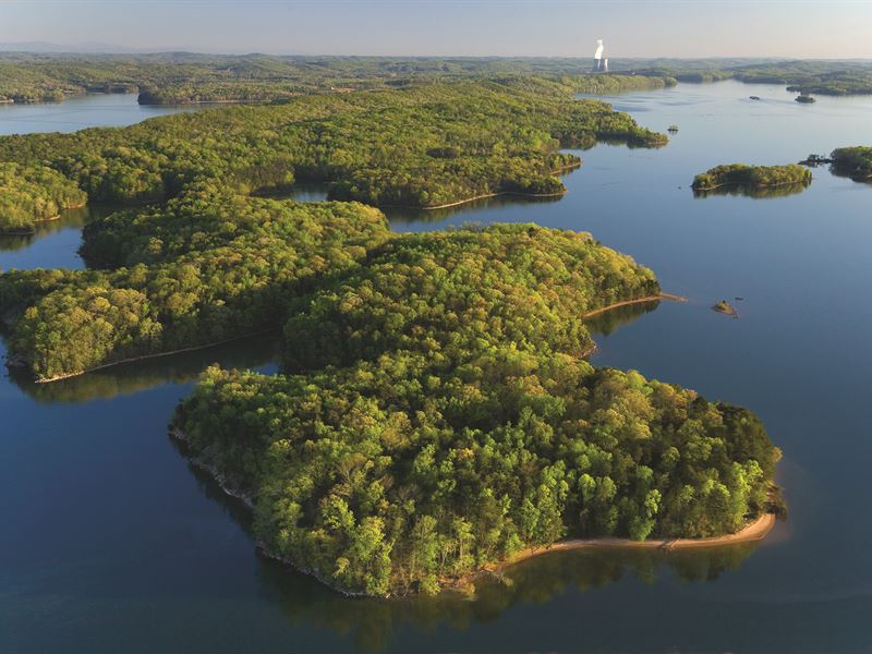 10 Acre Lake Lot, Farm for Sale in South Carolina, 129906 FARMFLIP