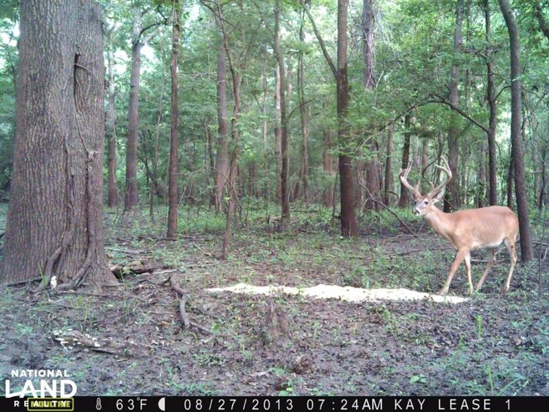Hunting Club Share Woodville, Ms : Woodville : Wilkinson County : Mississippi