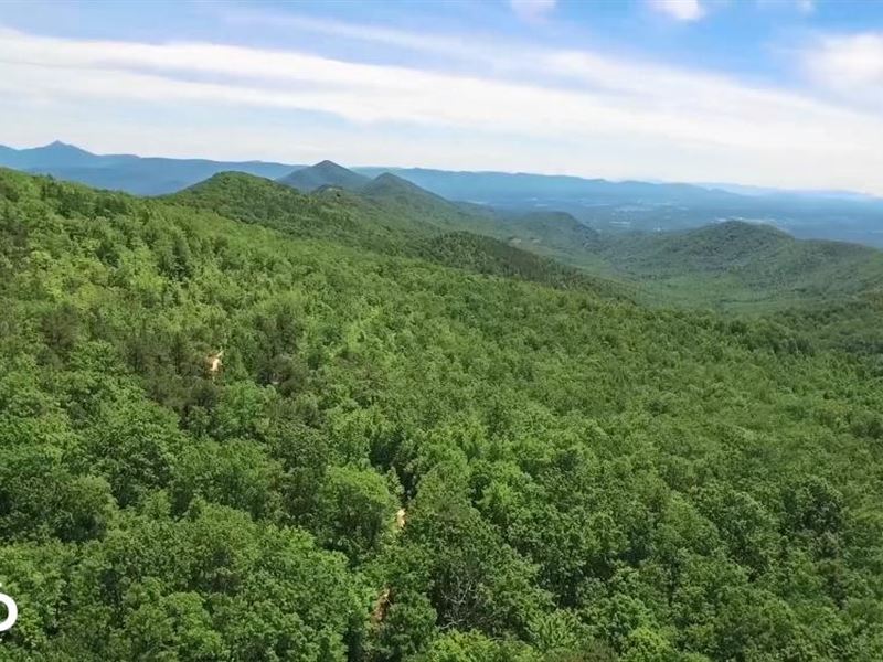 Virginia Mountain With Trout Stream Farm for Sale in Eagle Rock