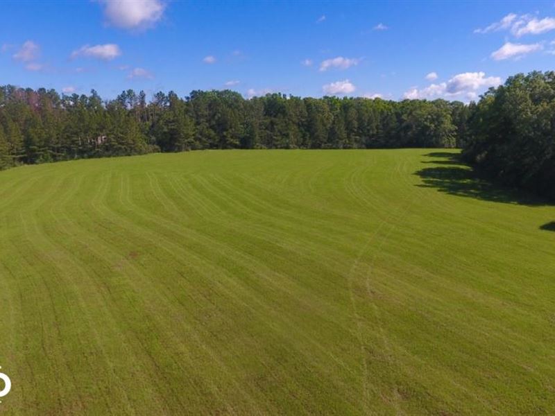Cottage Grove Farm 107 Acres, Farm for Sale in Alabama, 130109 FARMFLIP